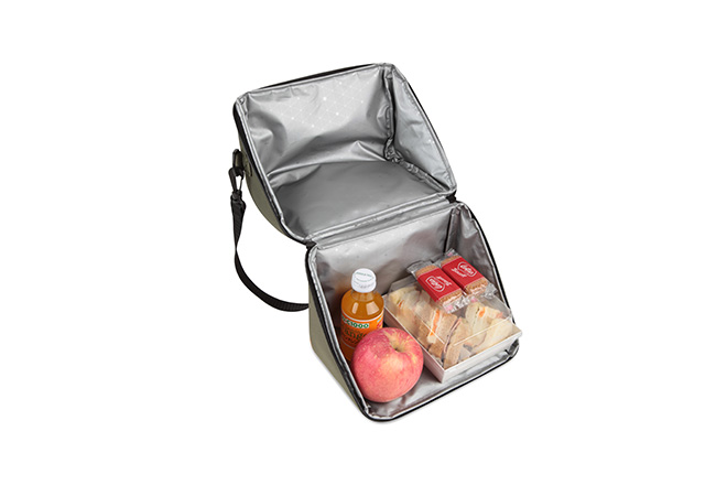hard lunch box with handle