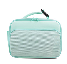 Women's Medium Size Two Compartments Square Lunch Bag Color Mint