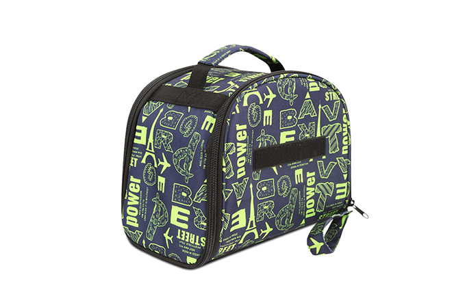 recycled lunch tote
