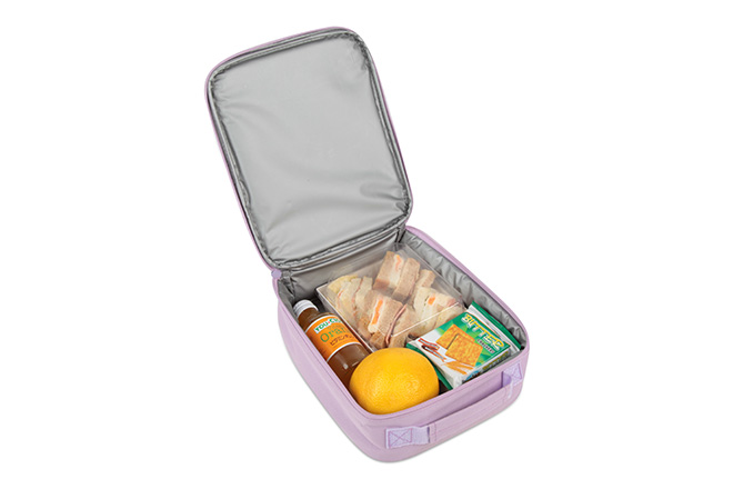 lunch bag with ice pack compartment