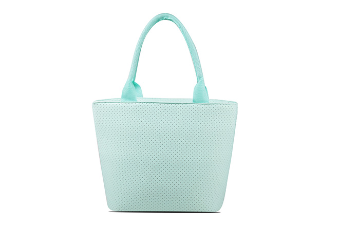 Women's Large Size Front Zip Lunch Tote Color Mint