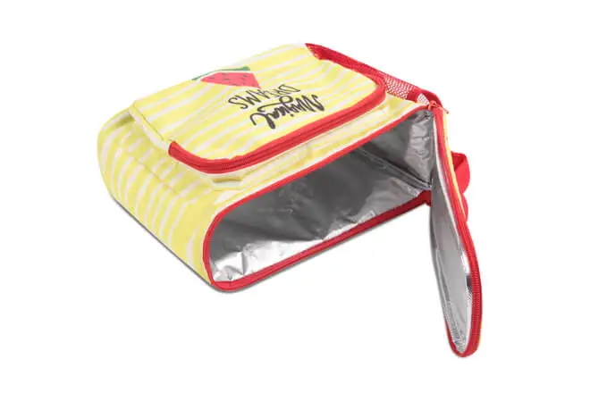 square insulated lunch bag
