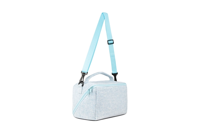 lunch bag with containers