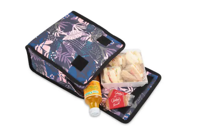 lunch bag with strap