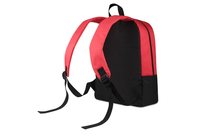backpacks for adults
