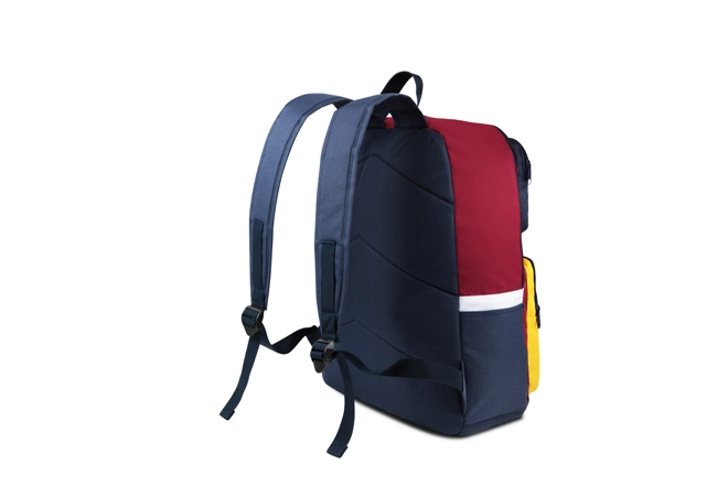 backpacks for school boys