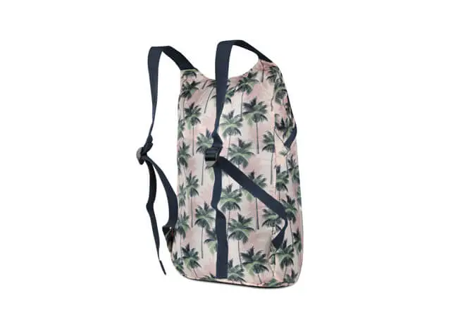 basic canvas backpack