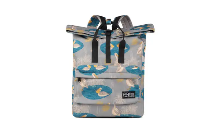 standard carry on backpack