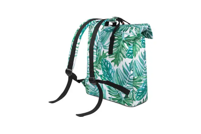 standard sized backpack