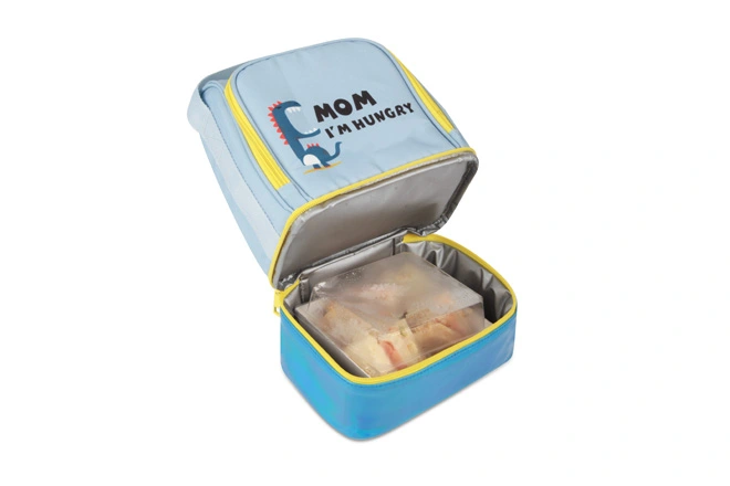 dinosaur bag and lunch box