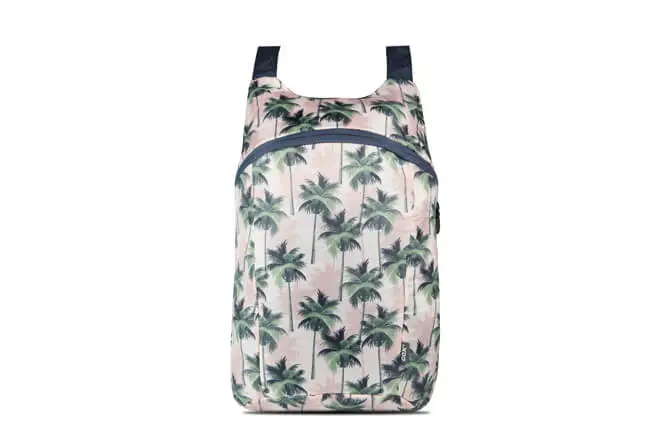 student lunch bag