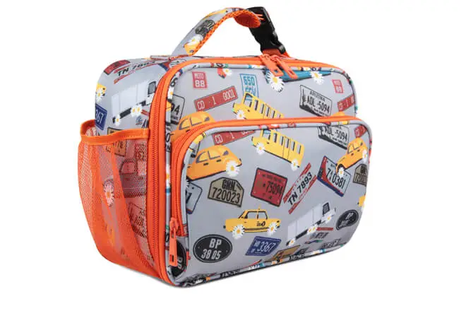 eco friendly lunch tote